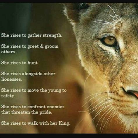 TOP 25 LIONESS QUOTES 